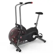 Airdyne AD 2 - Schwinn