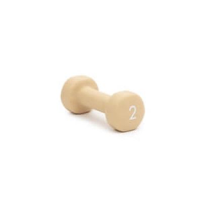 Abilica DumbBells 2 kg, sand