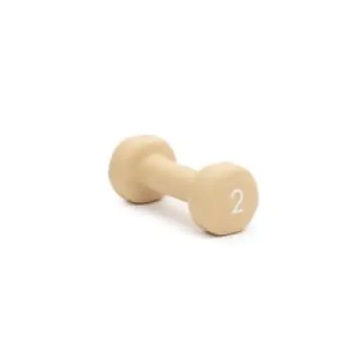 Abilica DumbBells 2 kg, sand