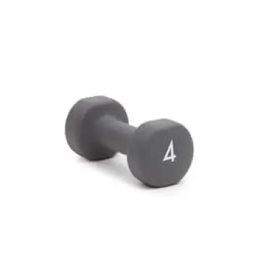 Abilica DumbBells 4 kg, grey