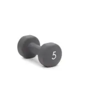Abilica DumbBells 5 kg, grey