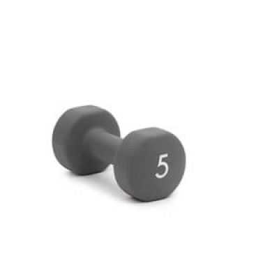 Abilica DumbBells 5 kg, grey