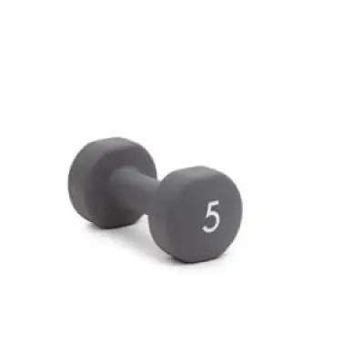 Abilica DumbBells 5 kg, grey