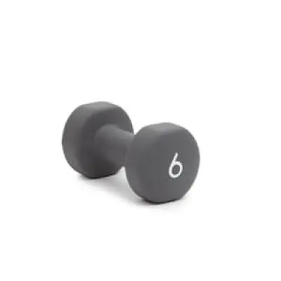 Abilica DumbBells 6 kg, grey