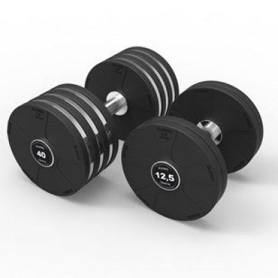 Eleiko Vulcano Disc Dumbbell - 22,5kg