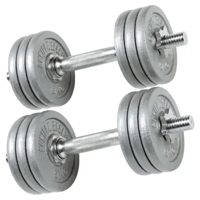Hantlar GJUTJÄRN 2x33kg
