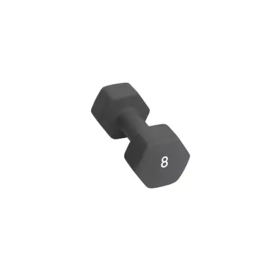 Abilica Hex Neoprene Dumbbell, 8 kg