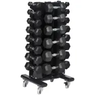 Master Fitness Paket Hantelställ inkl. Hantlar