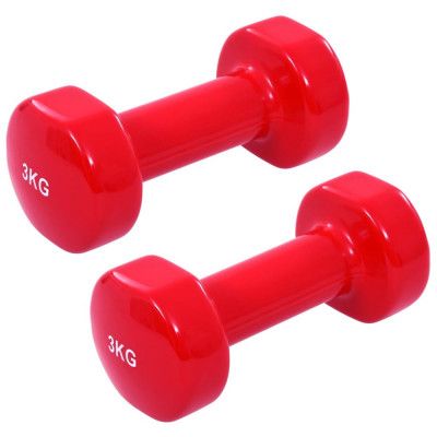 vidaXL Hantlar 2 st 2x3 kg gjutjärn