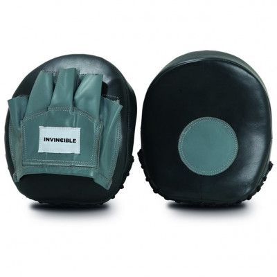 Master Coaching mitt training