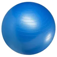 Master Fitness GYMBOLL BLÅ 65 cm