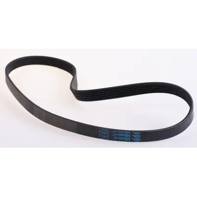 Master Fitness Poly  V  Drivrem R6030