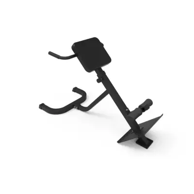 Master Fitness Ryggbänk