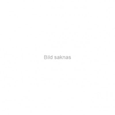 Master Skitrainer S90 Väggfäste