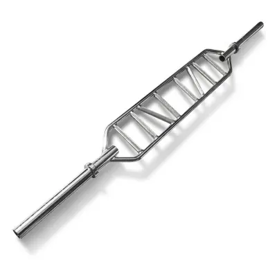 Master Fitness Swissbar