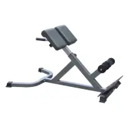 Ryggbänk / Back Trainer Silver - Master