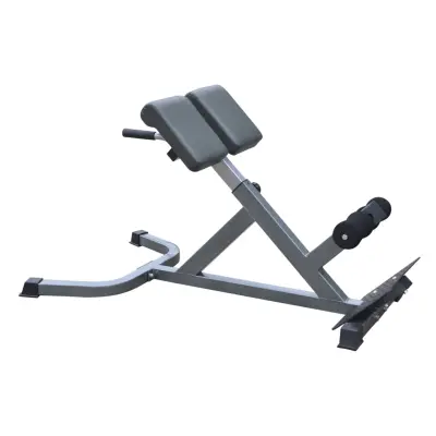 Ryggbänk / Back Trainer Silver - Master