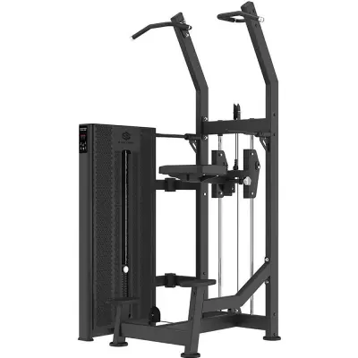 Skelcore Trinity Assisted Chin/Dip Pin Load, Dragmaskin