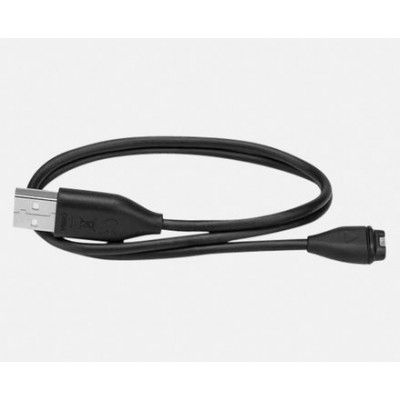 Garmin Laddnings-/datafäste