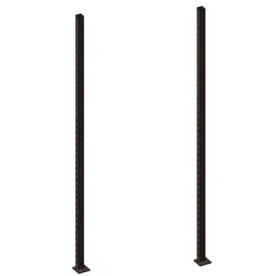 Master Fitness Uprights 325 cm - Par, Rig