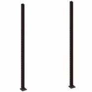 Master Fitness Uprights 275 cm - Par, Crossfit rig