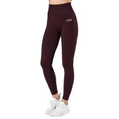 Icaniwill queen outlet mesh tights