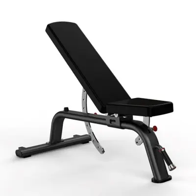 Bench BC 2.0