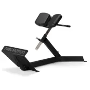 Freemotion Epic Free Weight 45 Degree Back Extension, Träningsbänk