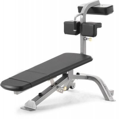 Freemotion Epic Free Weight Abdominal Bench, Träningsbänk