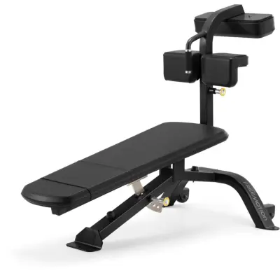 Freemotion Epic Free Weight Abdominal Bench, Träningsbänk