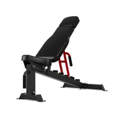 TrÃ¤ningsbÃ¤nk Silver III, Master