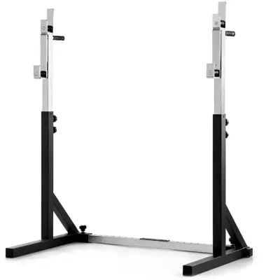 Abilica SquatRack 40, Skivstångsställning