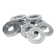 Master Miniviktskivor/Fractional Plates