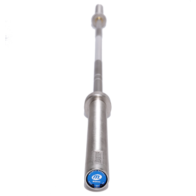 Internationell Skivstång Silver