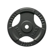 FitNord Viktskiva med grepp 30 mm, Gjutjärn 10 kg