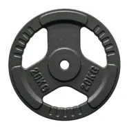 FitNord Viktskiva med grepp 30 mm, Gjutjärn 20 kg