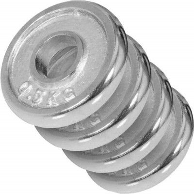 Gorilla Sports Viktskivor CHROME - 4 x 0,5 kg, Viktpaket järn