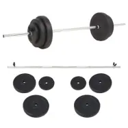 vidaXL Skivstång set 30 kg